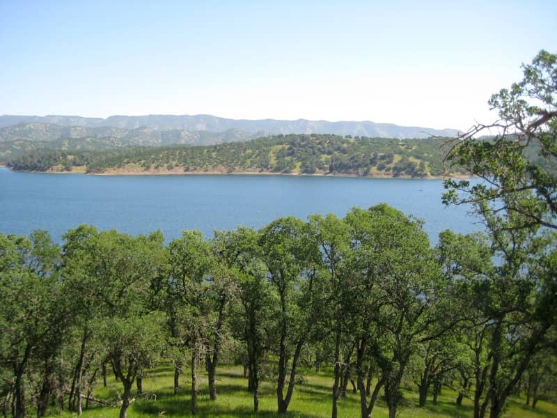 Camping and Picnicking