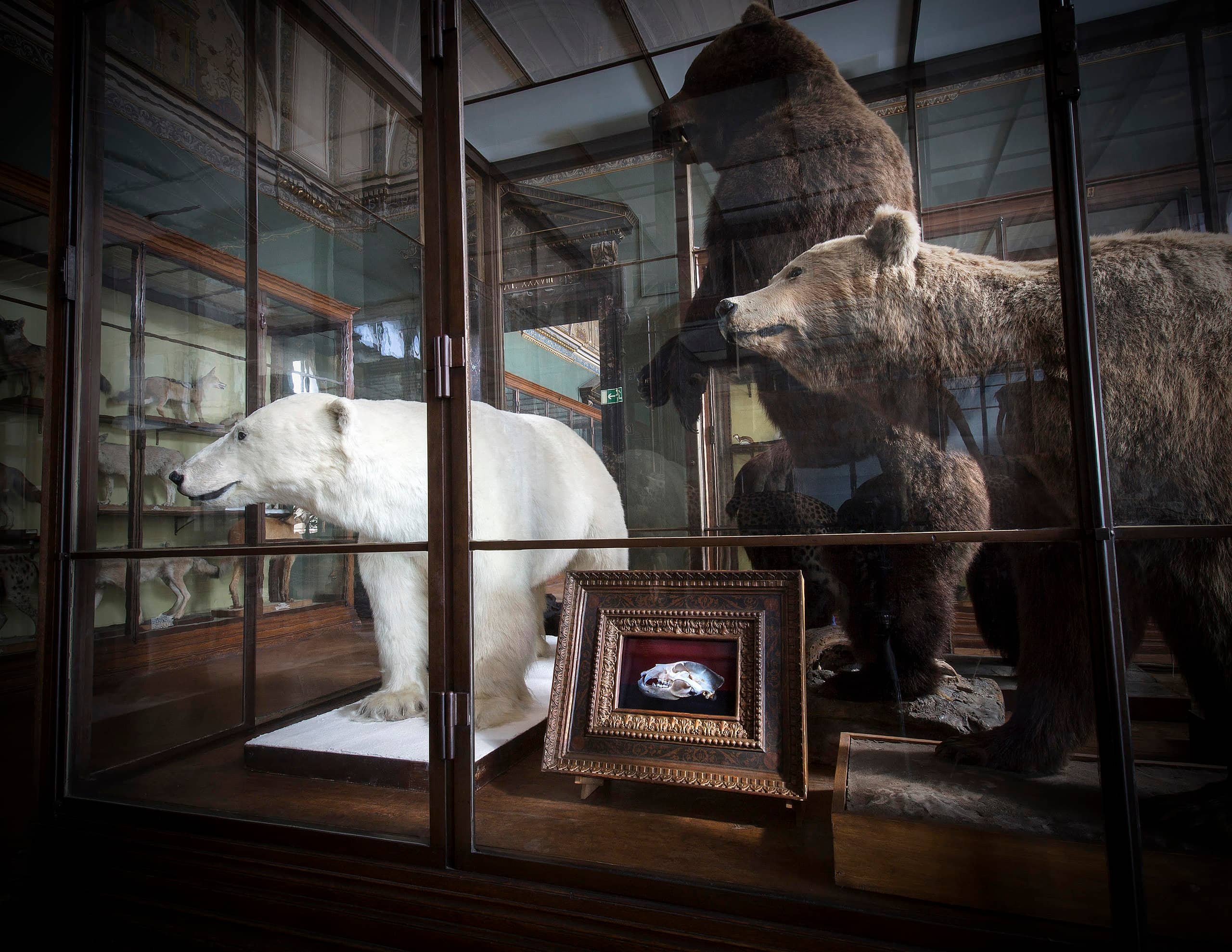 Naturhistorisches Museum