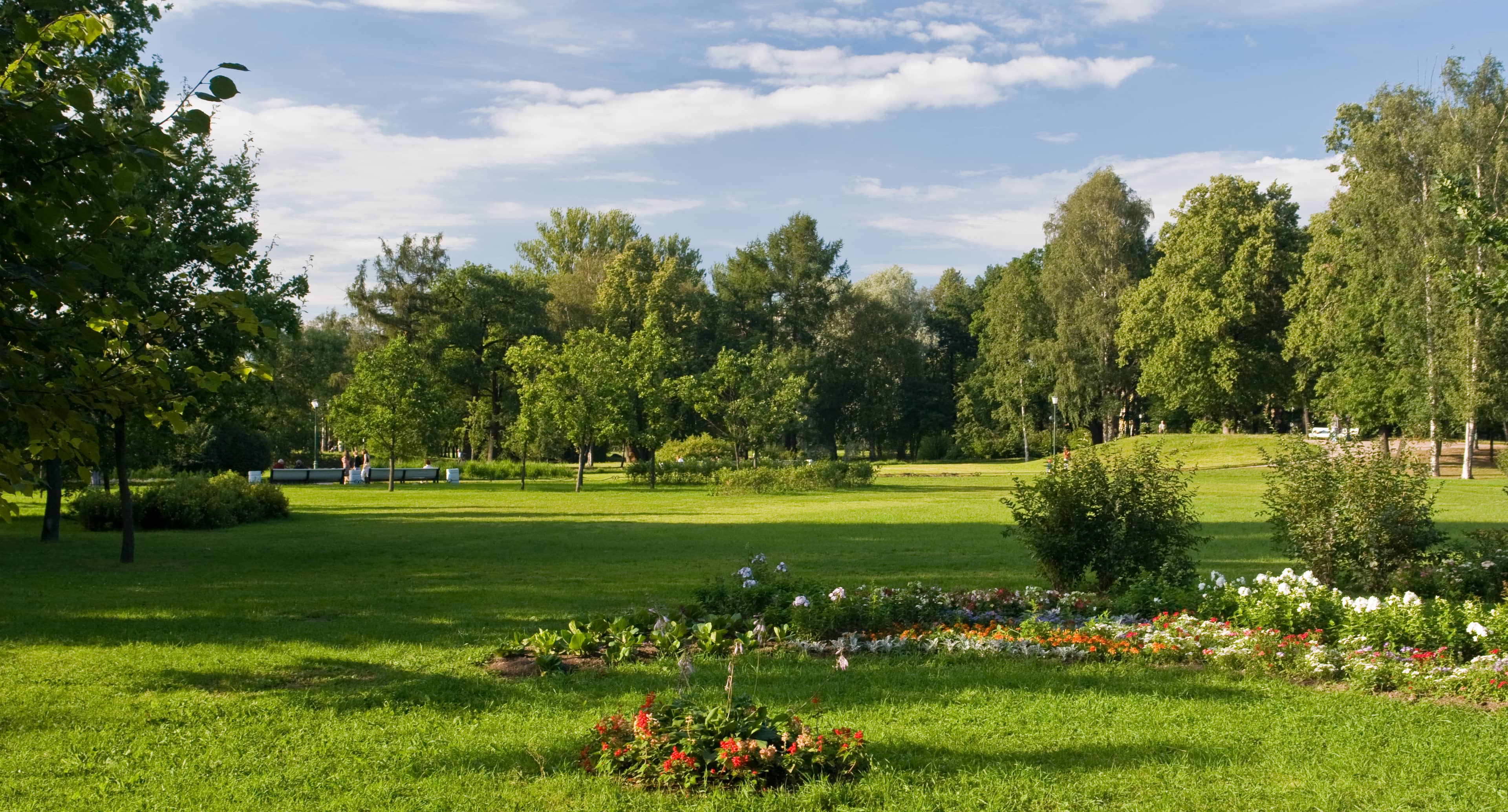 Green Oasis