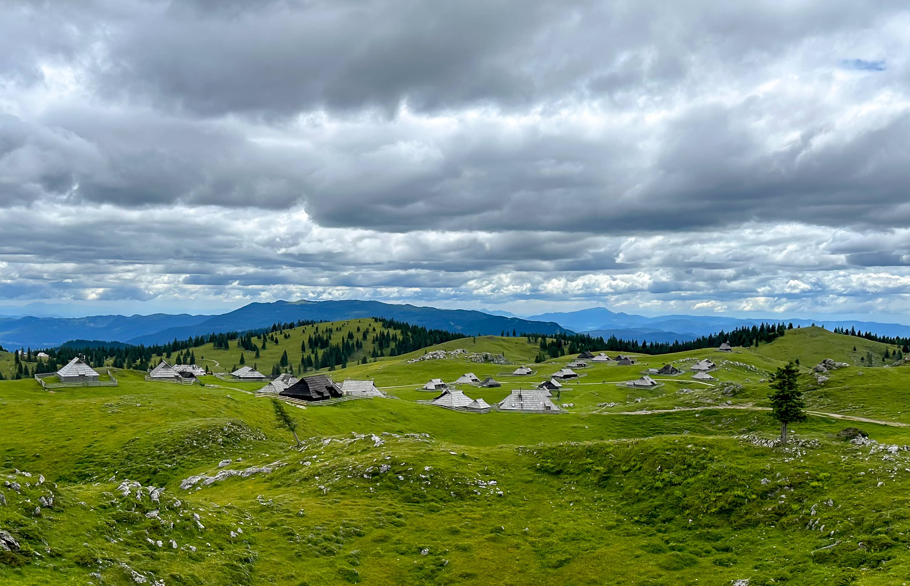 Panoramic Views