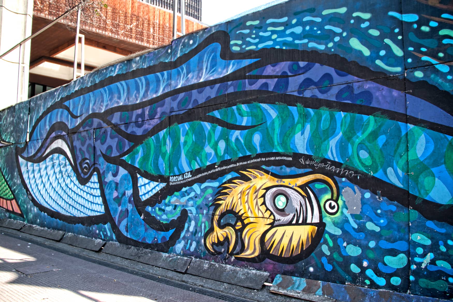 Cultural Expressions