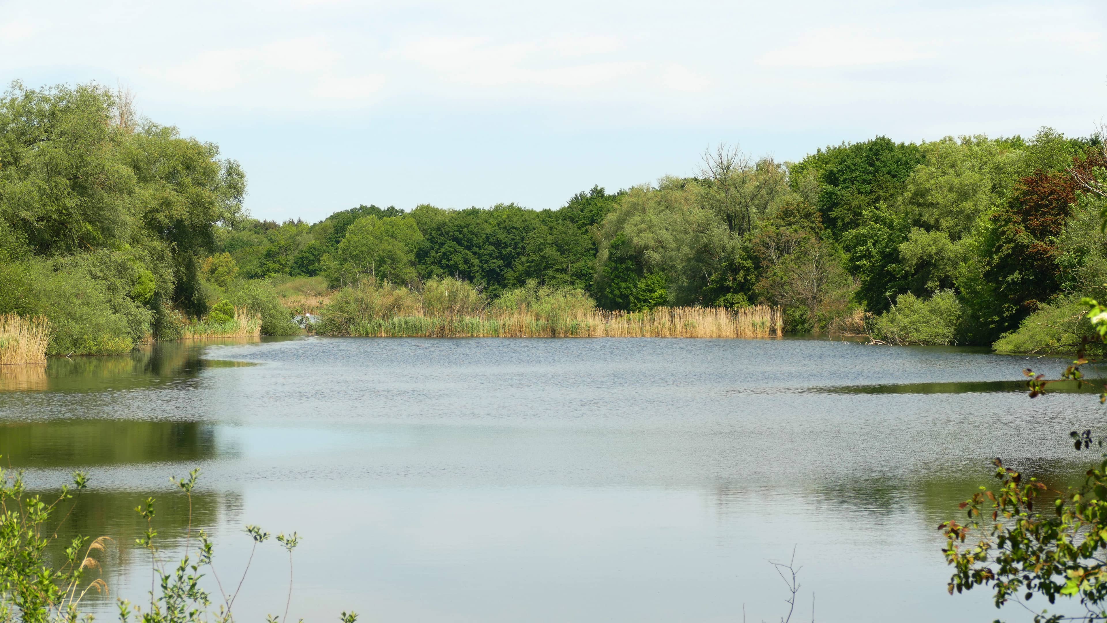 Tranquil Ponds and Lakes