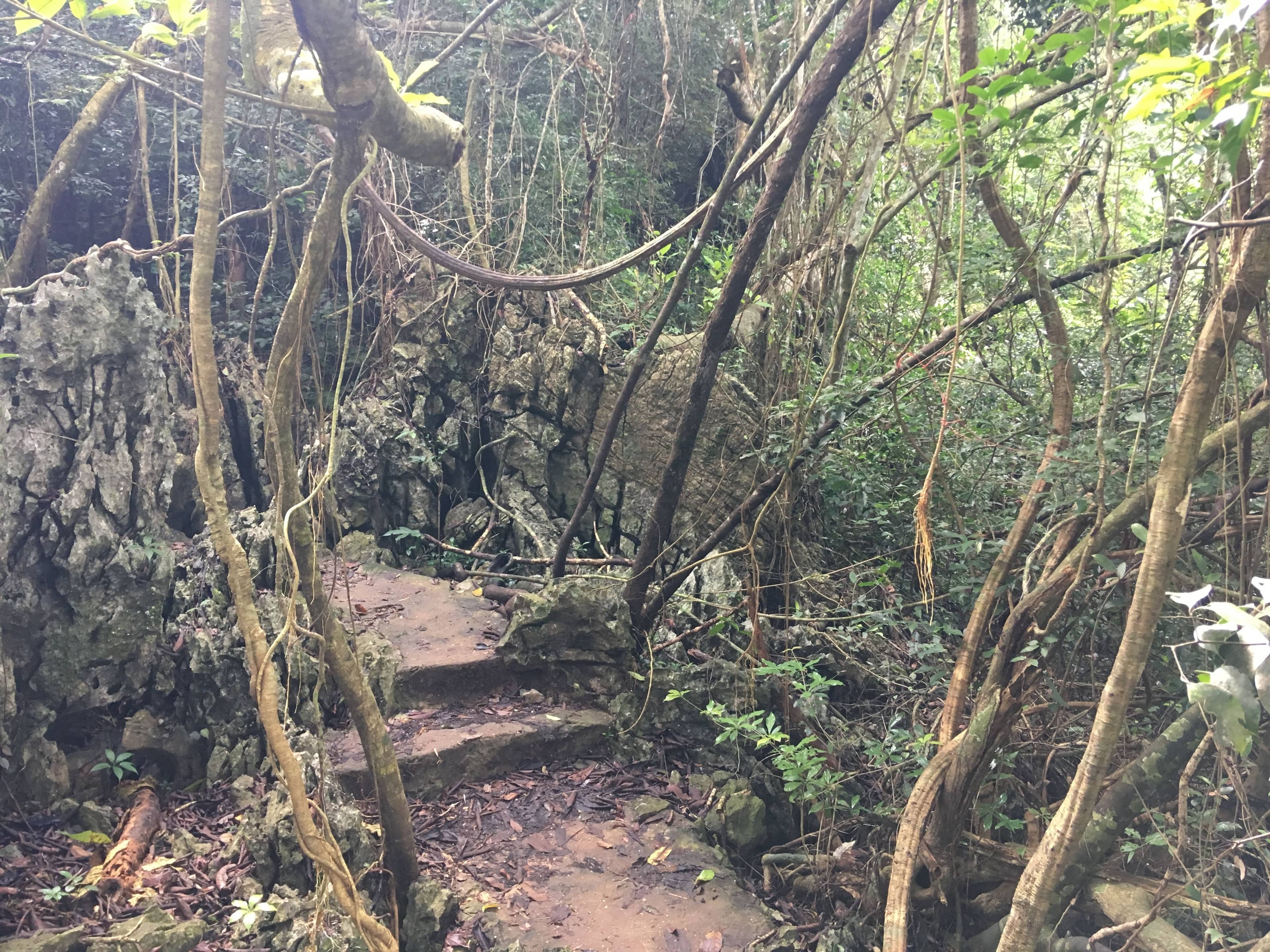 Cat Ba National Park