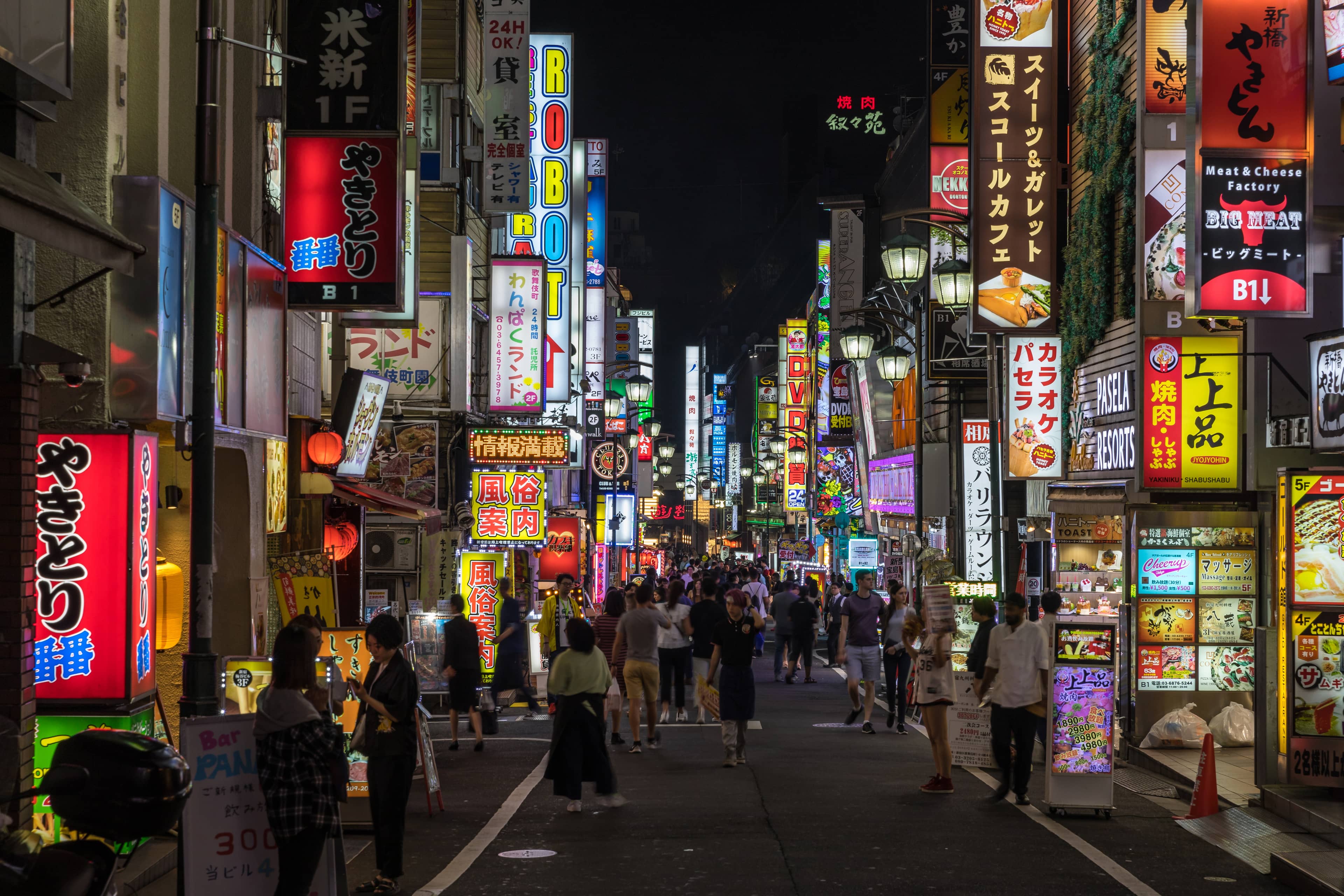 Kabukicho's Neon Streets