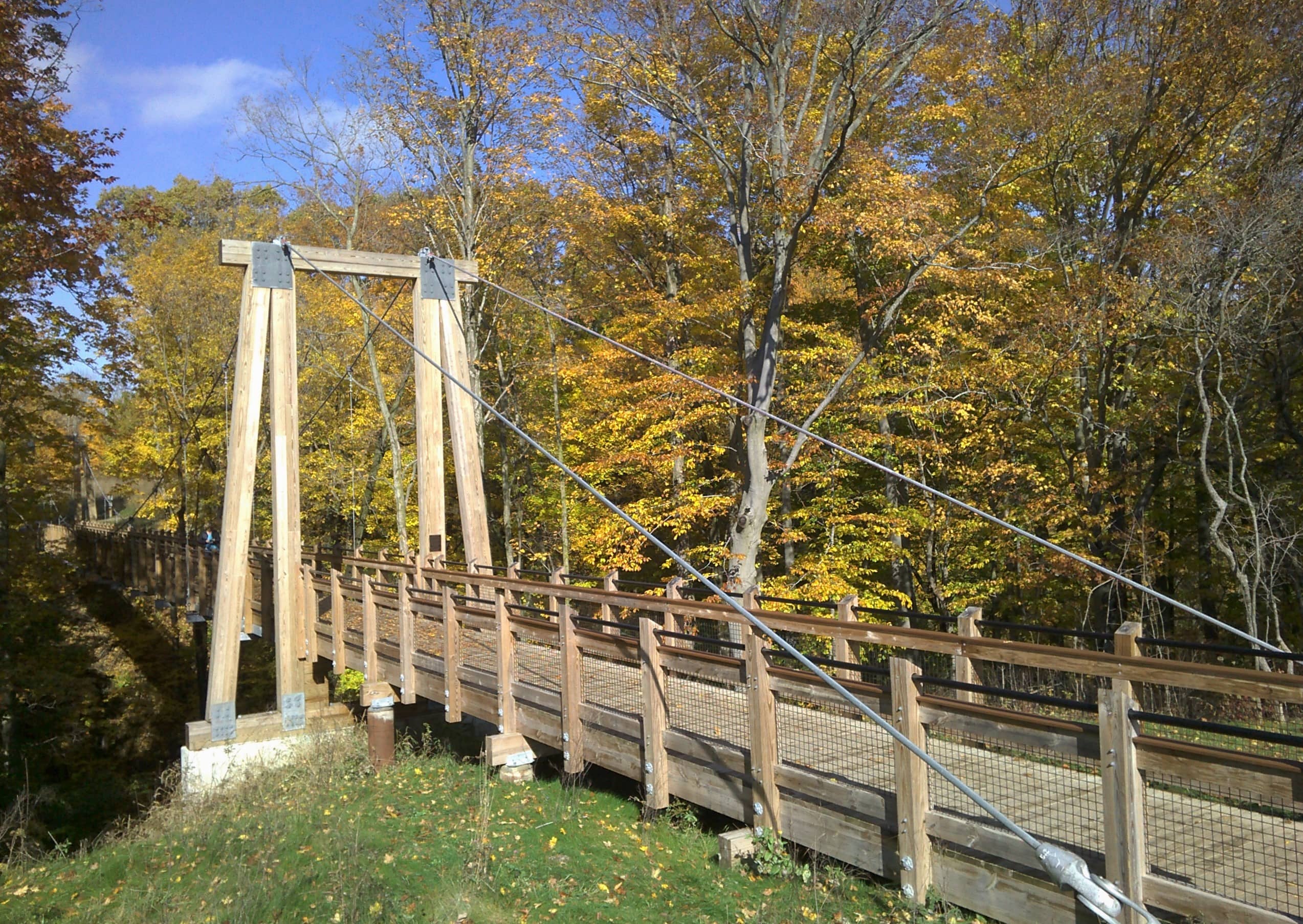 Suspension Bridge Views