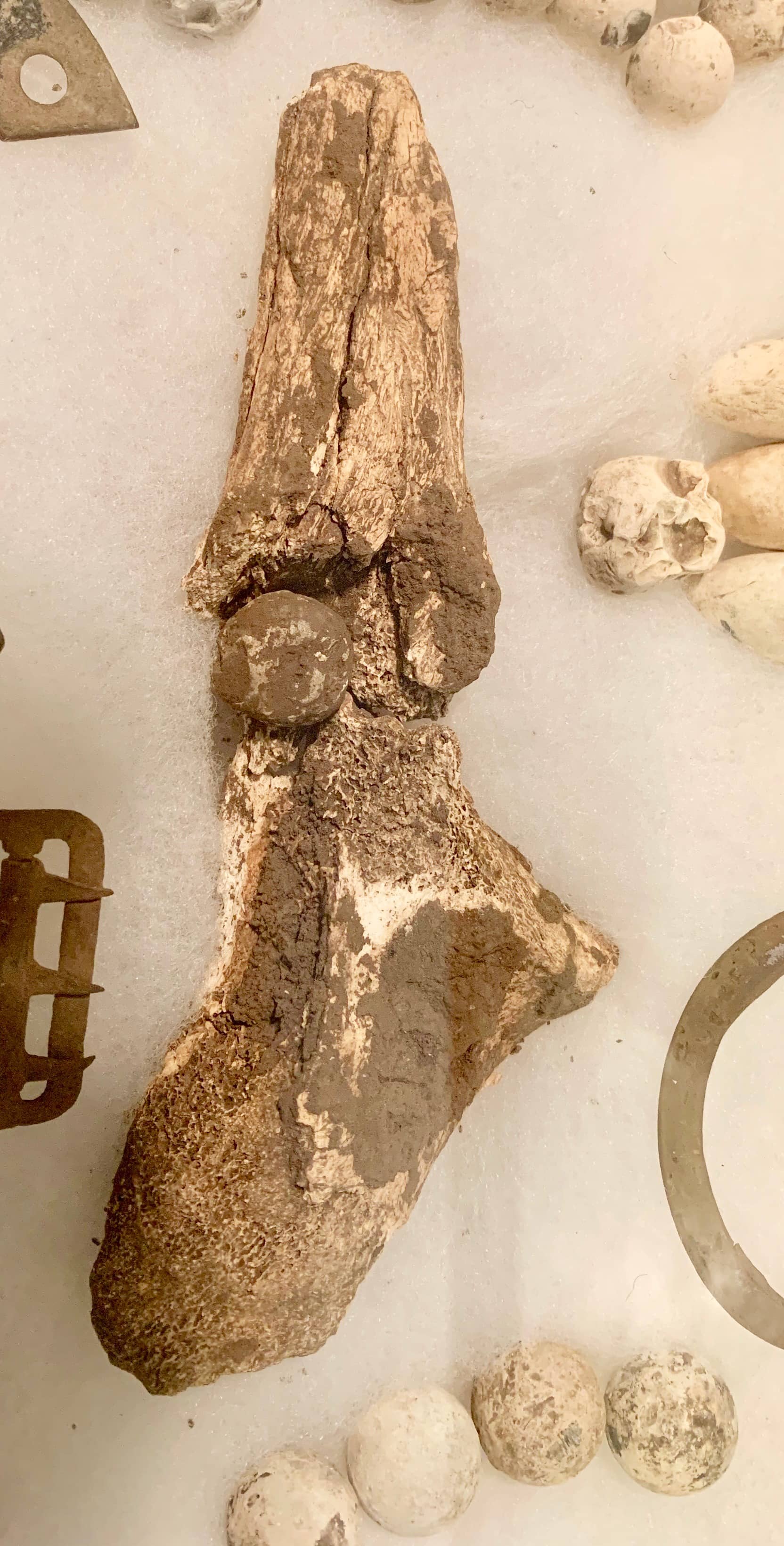 Artifacts and Memorabilia