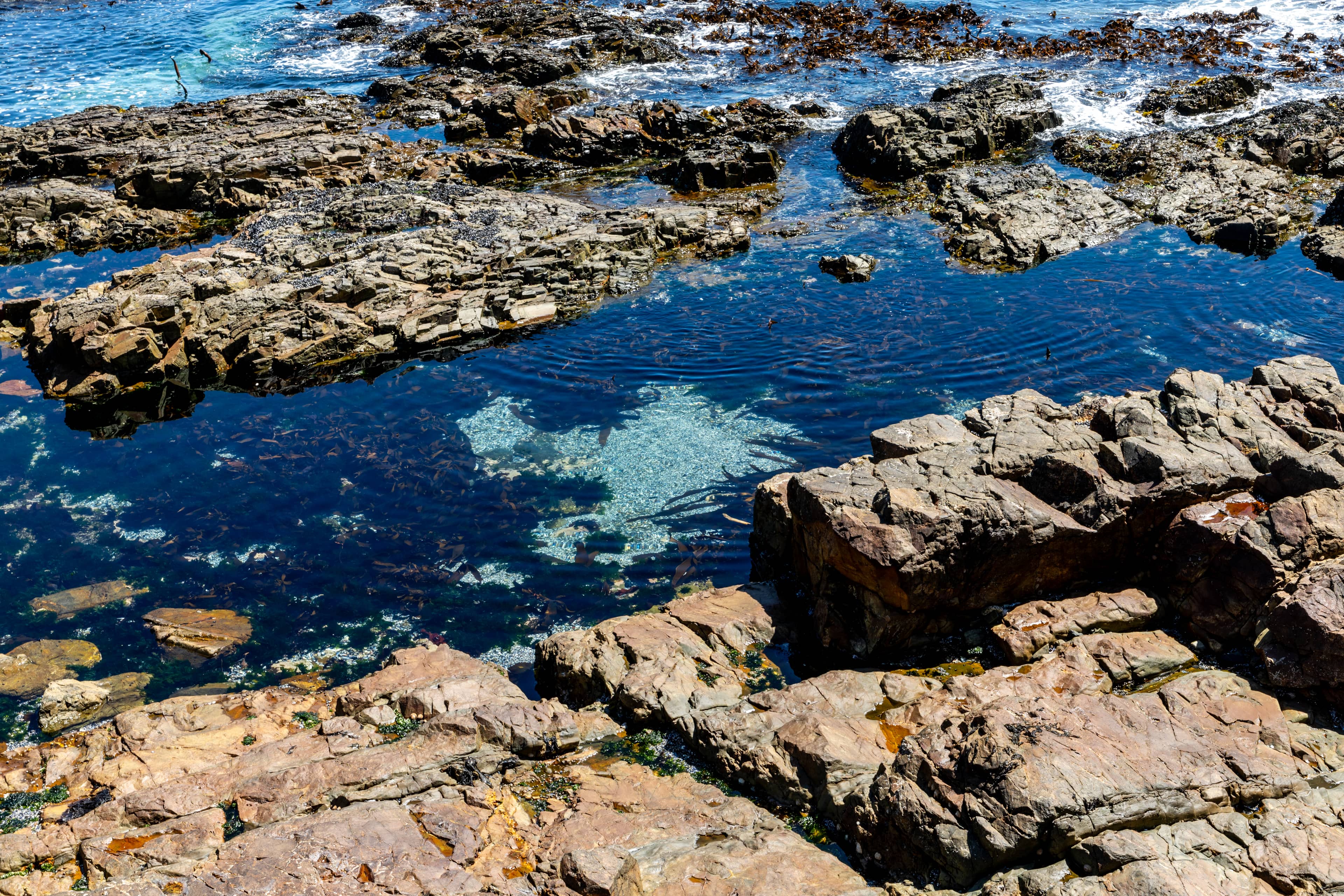 Tidal Pools