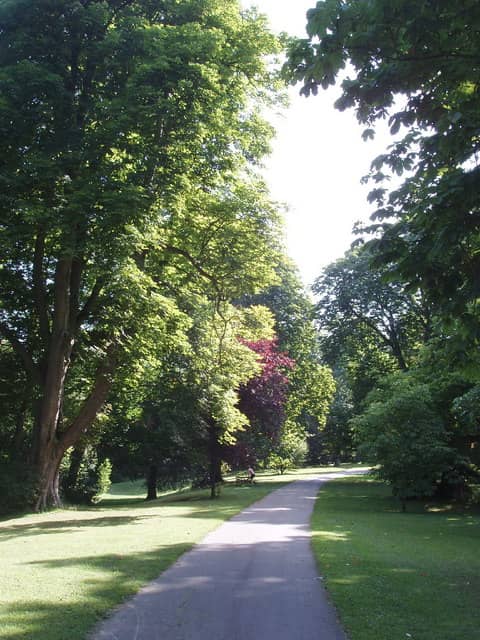 Mature Tree Arboretum