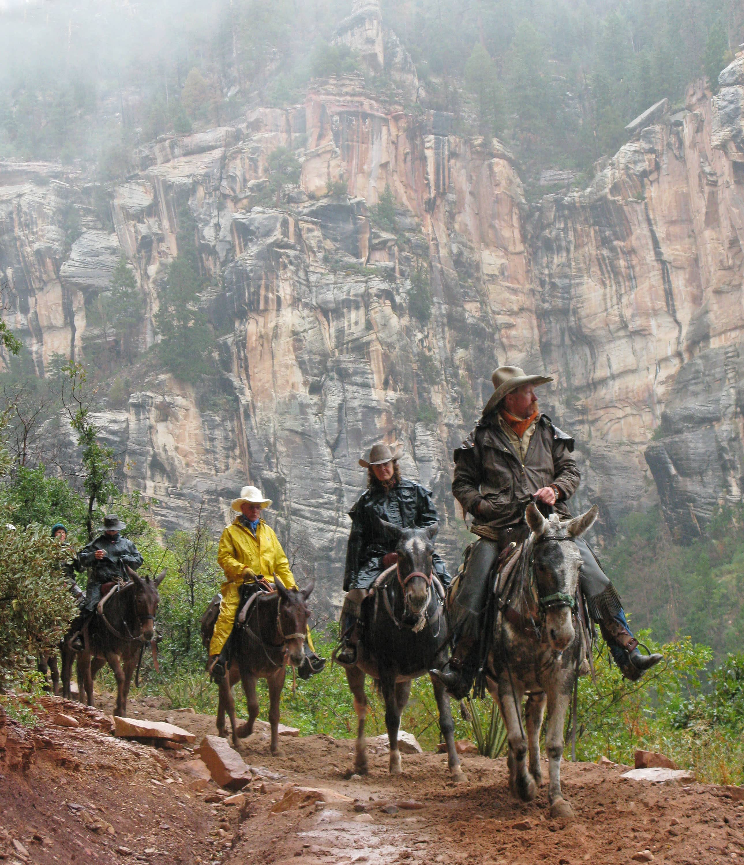 Mule Trail Section