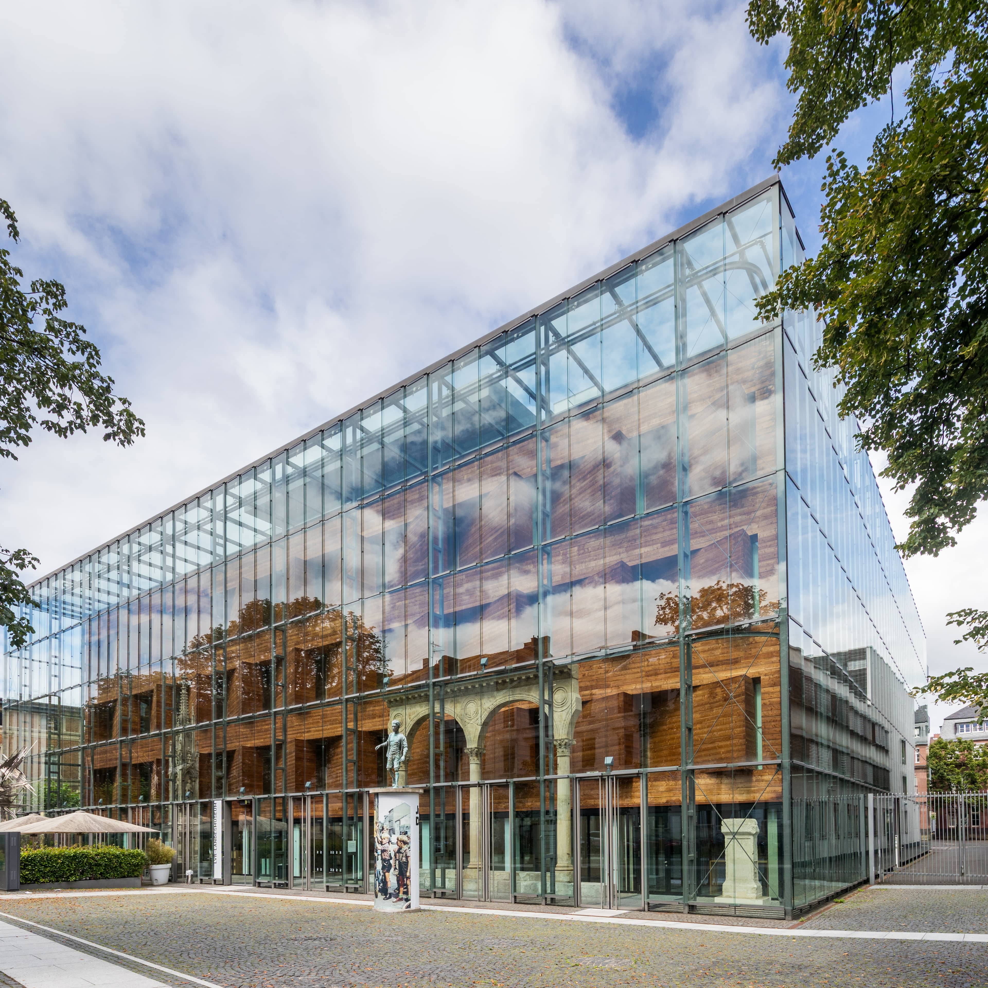 Human Evolution Journey