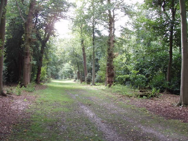 Woodland Walks & Play Trail