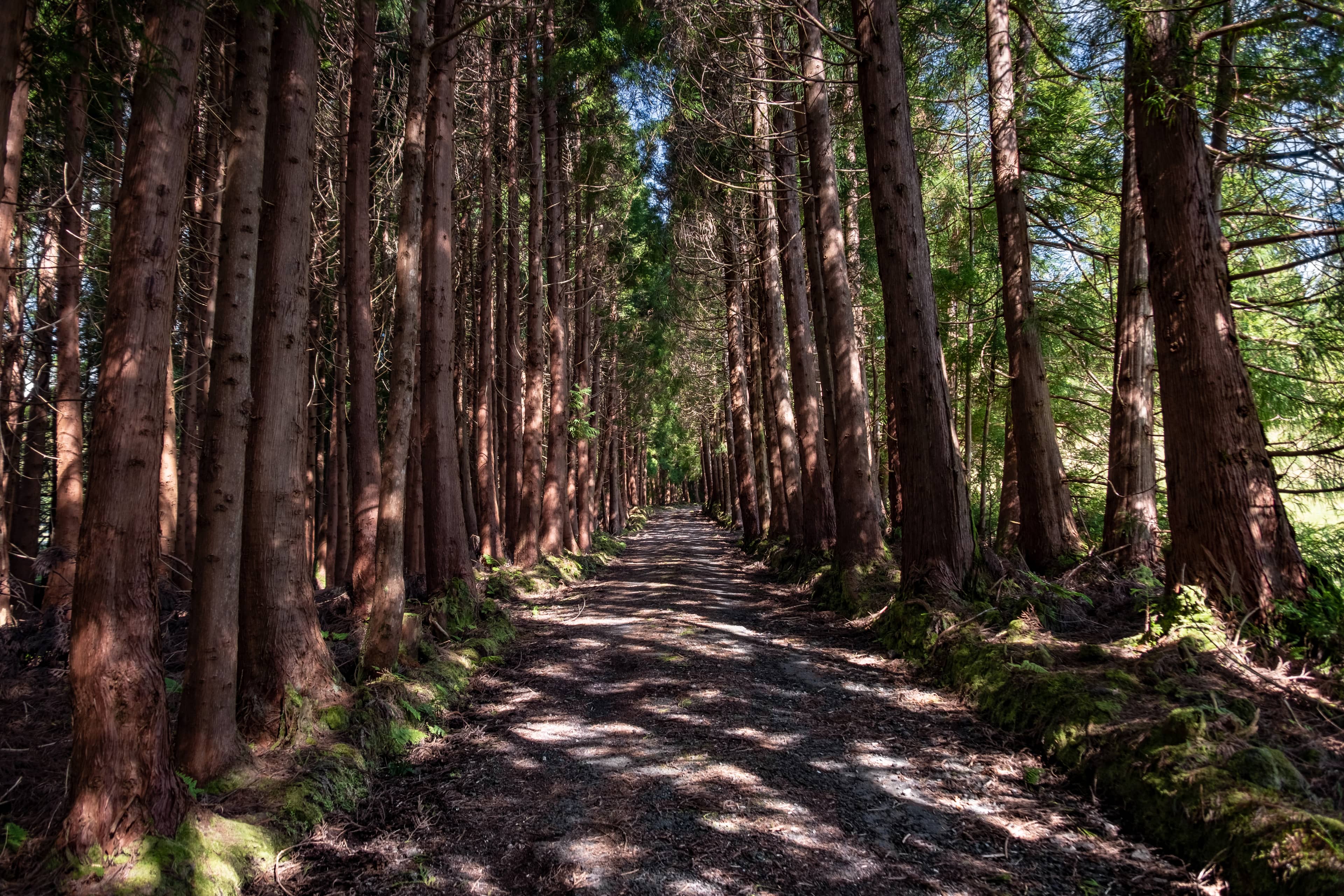 Nature Reserve Trails