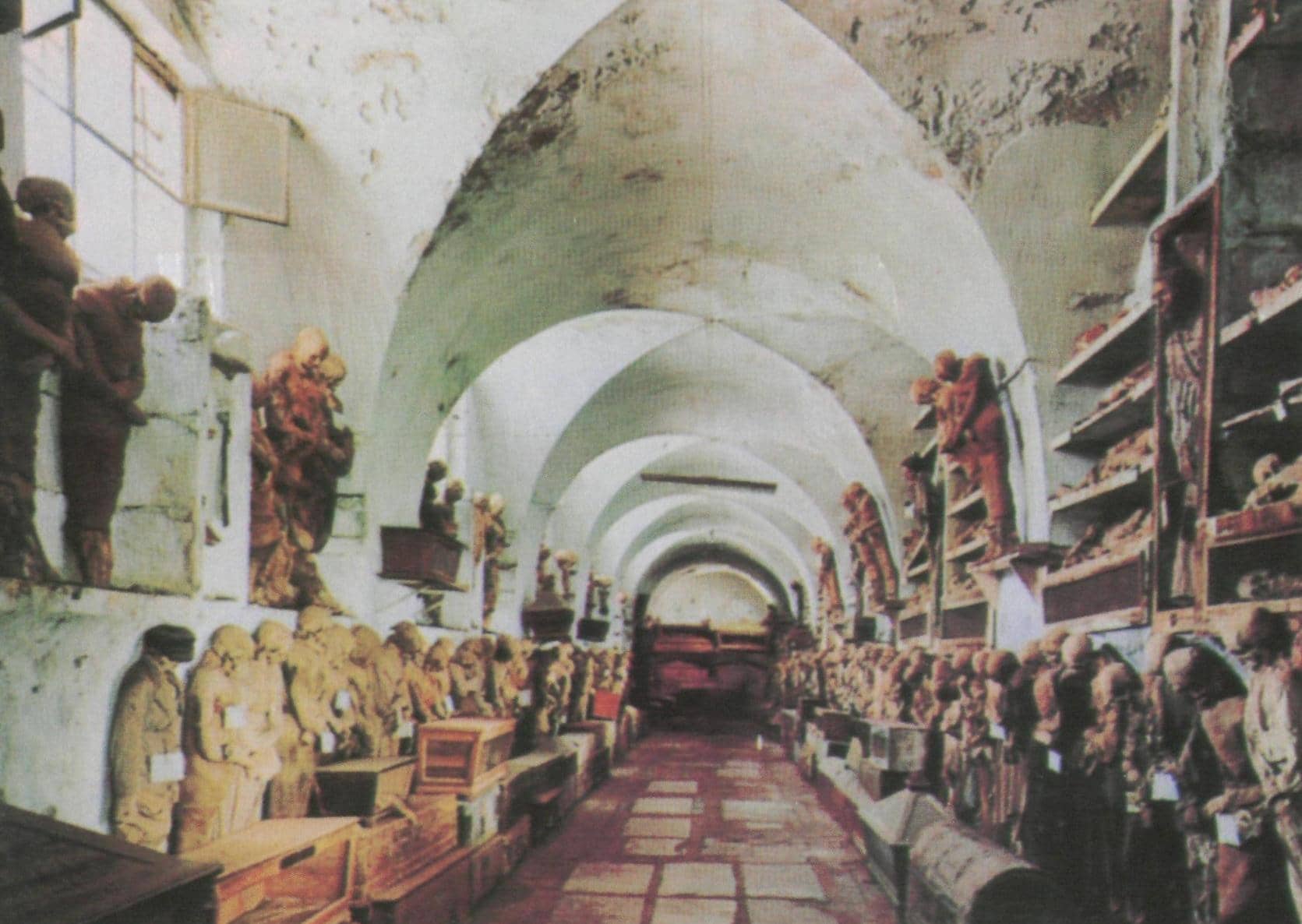 Cappuccini Cemetery Above