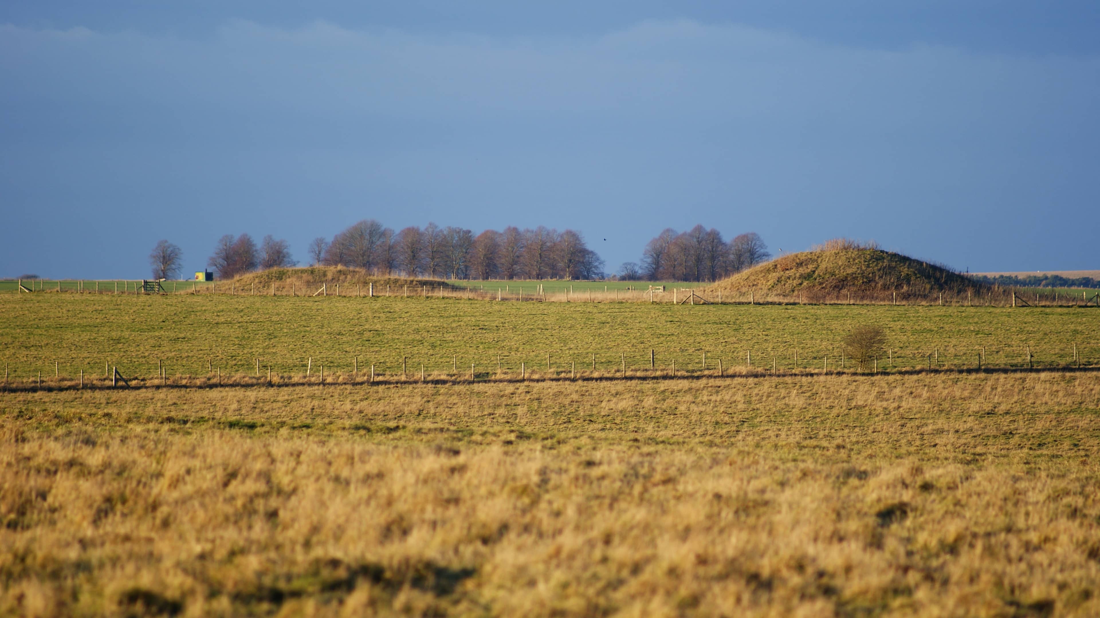 Surrounding Landscape