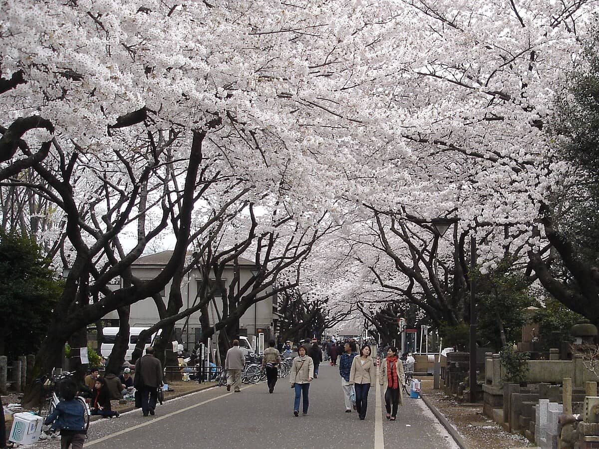 Yanaka Cemetery