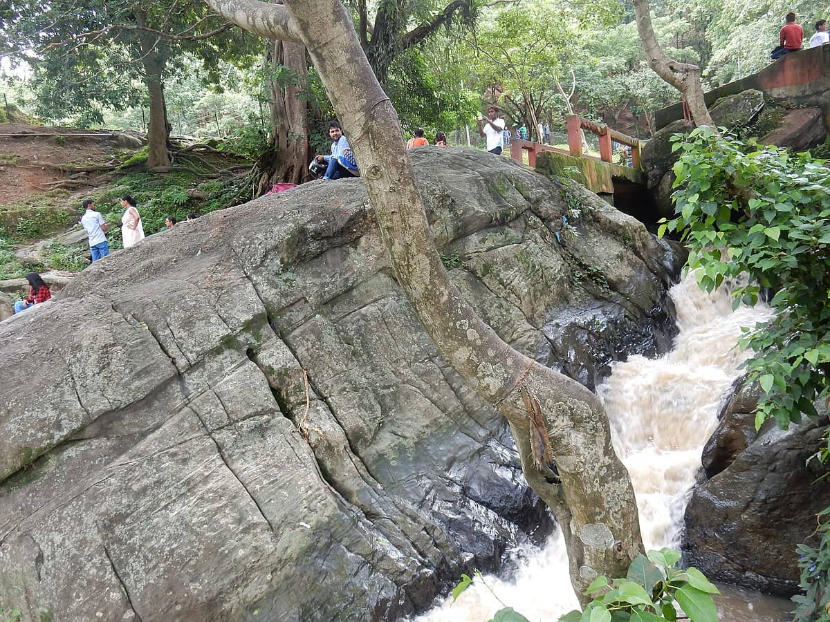 Mythological Streams & Waterfall