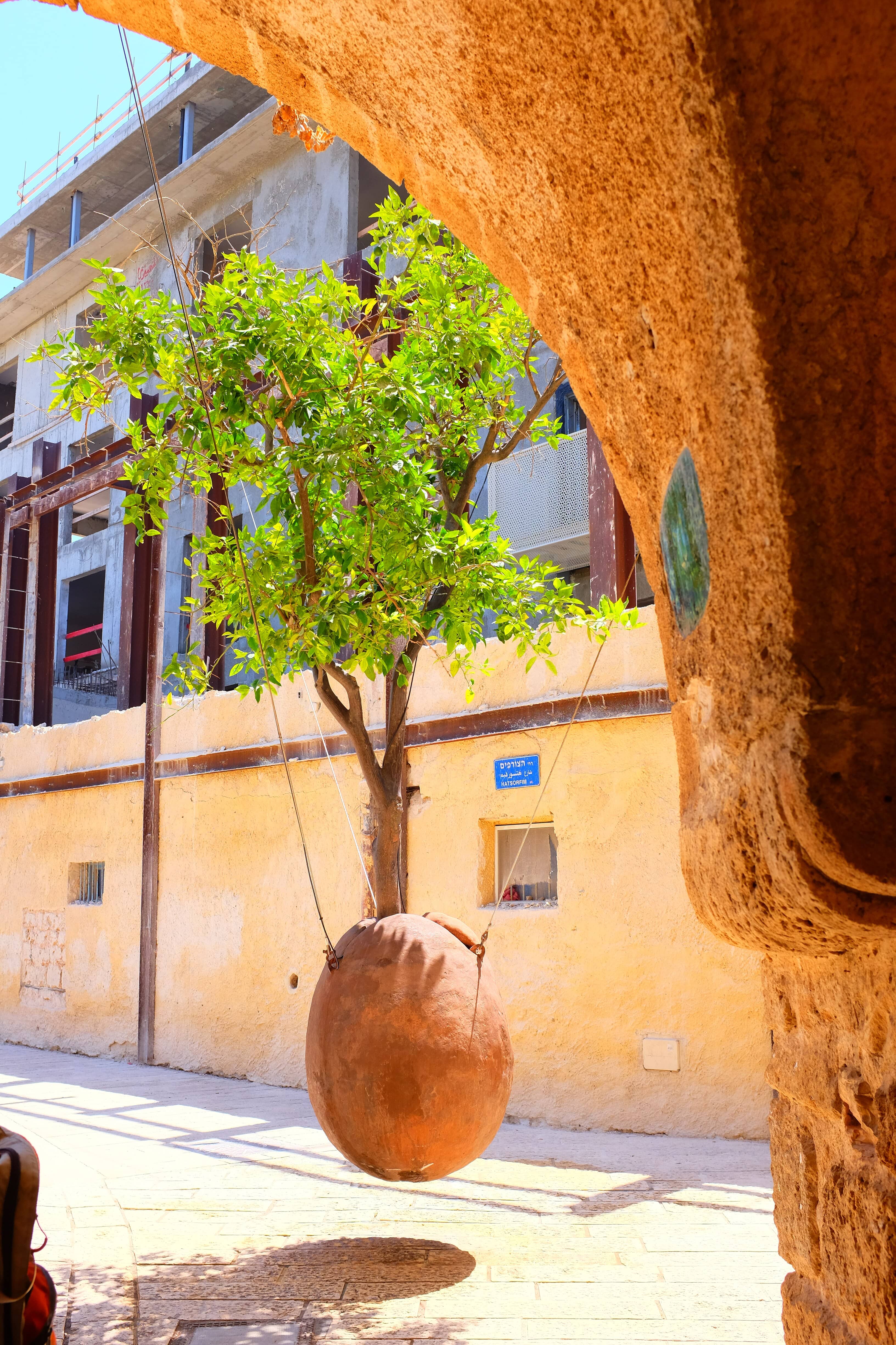 Hanging Orange Tree
