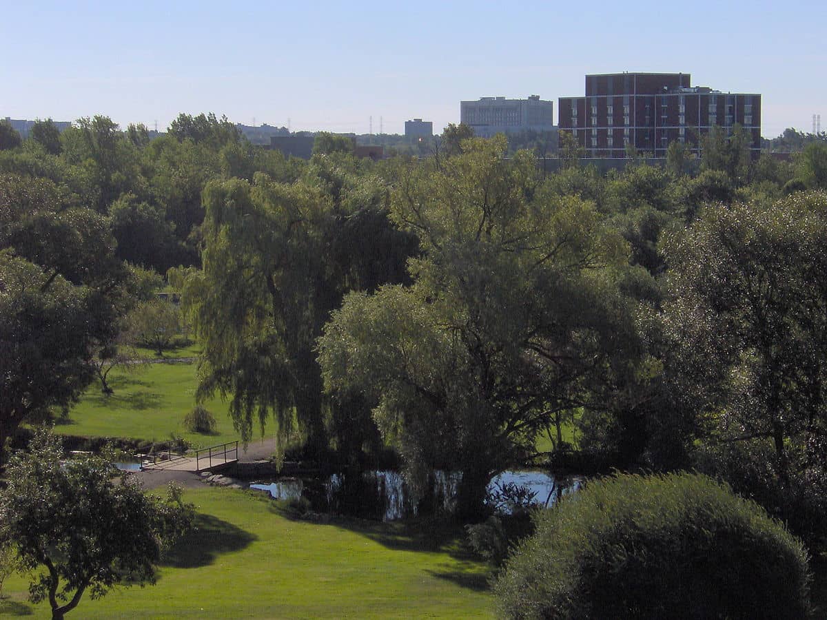 Dow's Lake Views