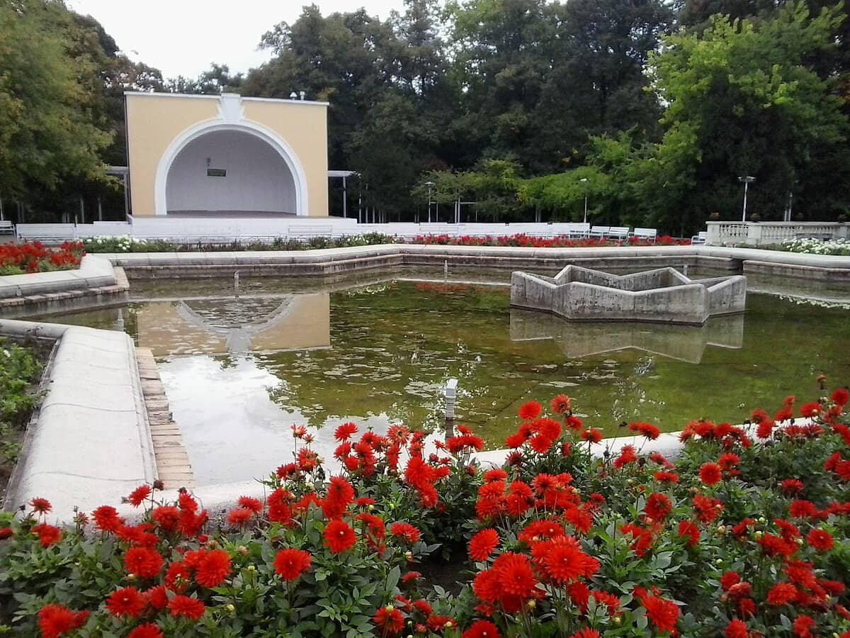 Water Features & Gardens