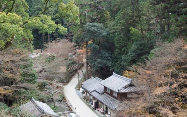 Mount Shosha Forest Trails