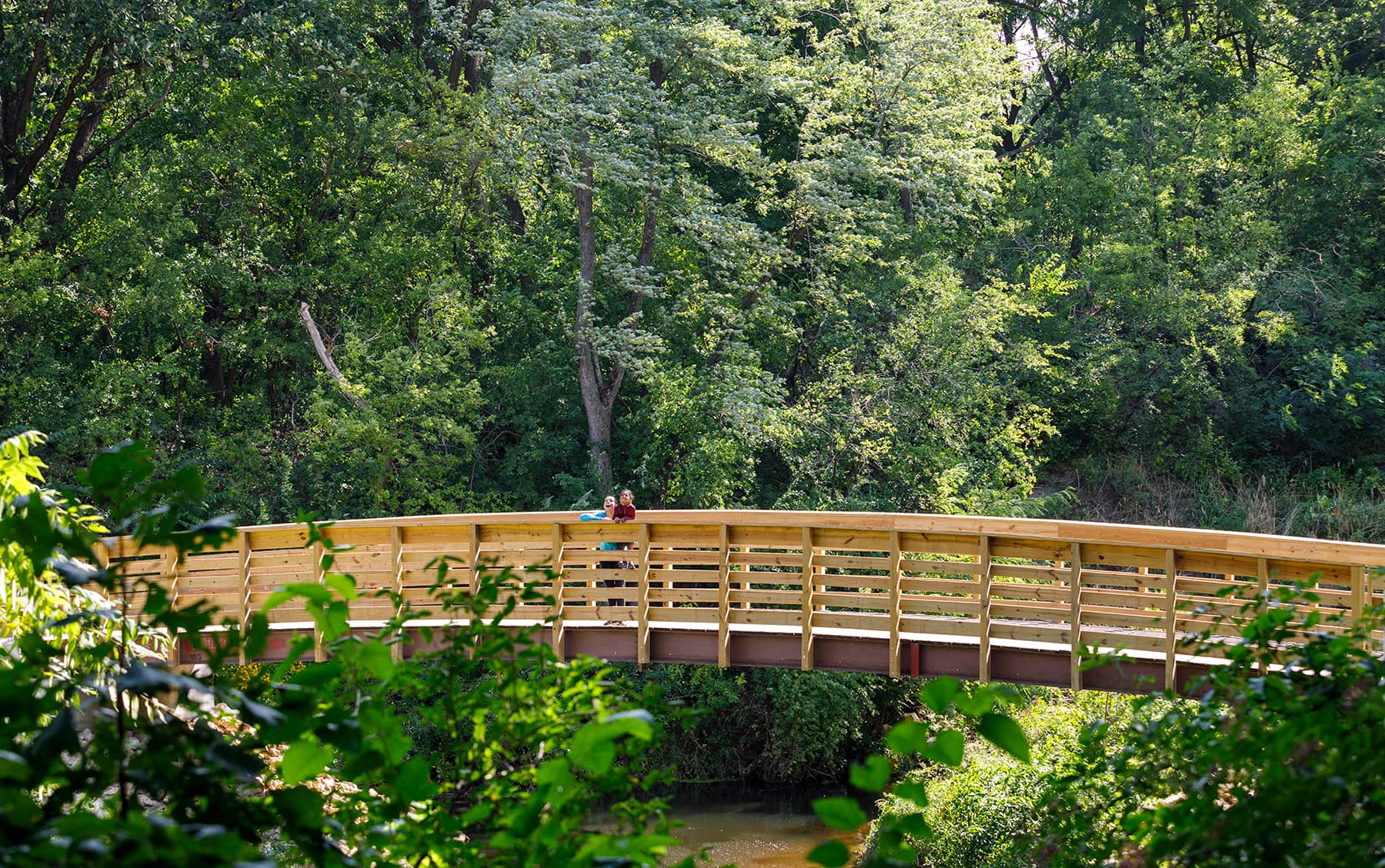 Pheasant Branch Creek