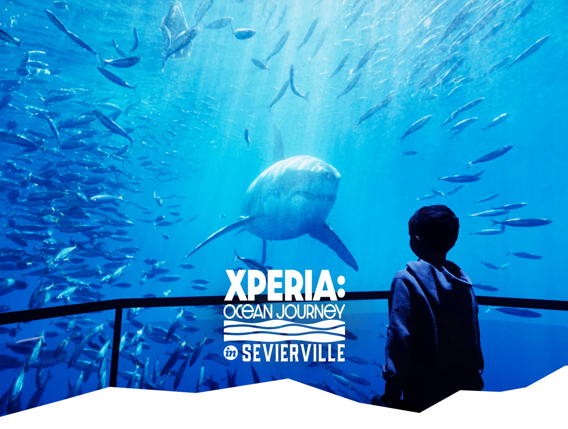 Experia Ocean Journey