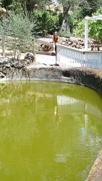 Peaceful Pond and Grounds