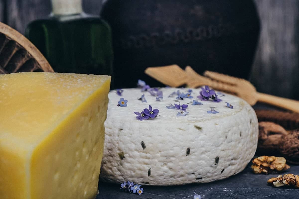 Cheese Tasting