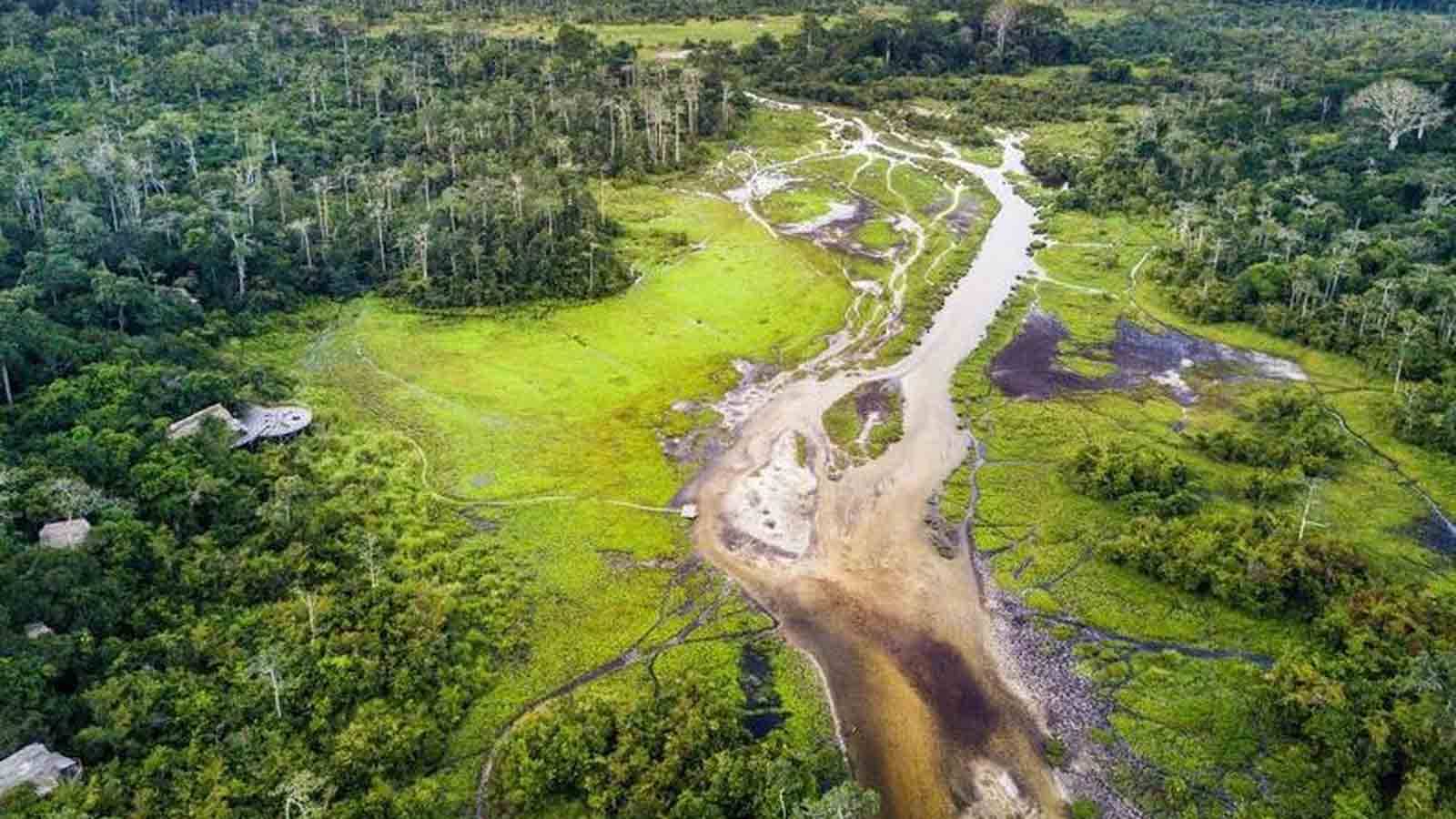 Lekoli River Cruises