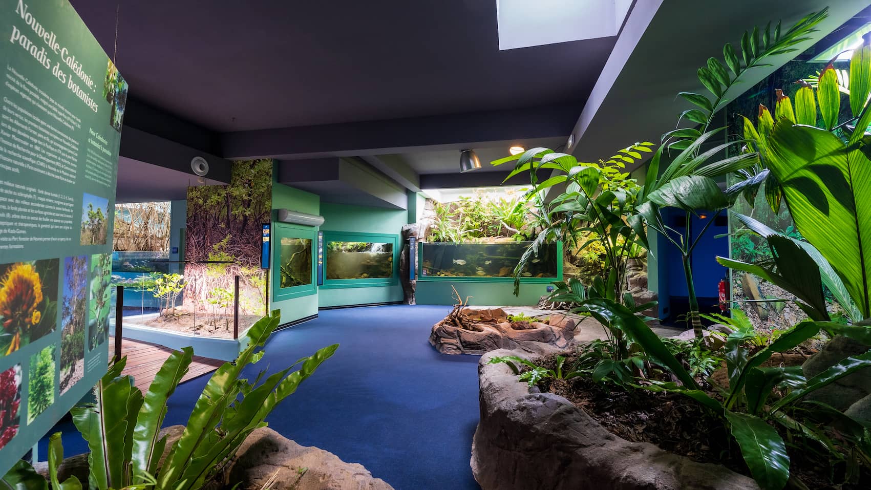Aquarium des Lagons
