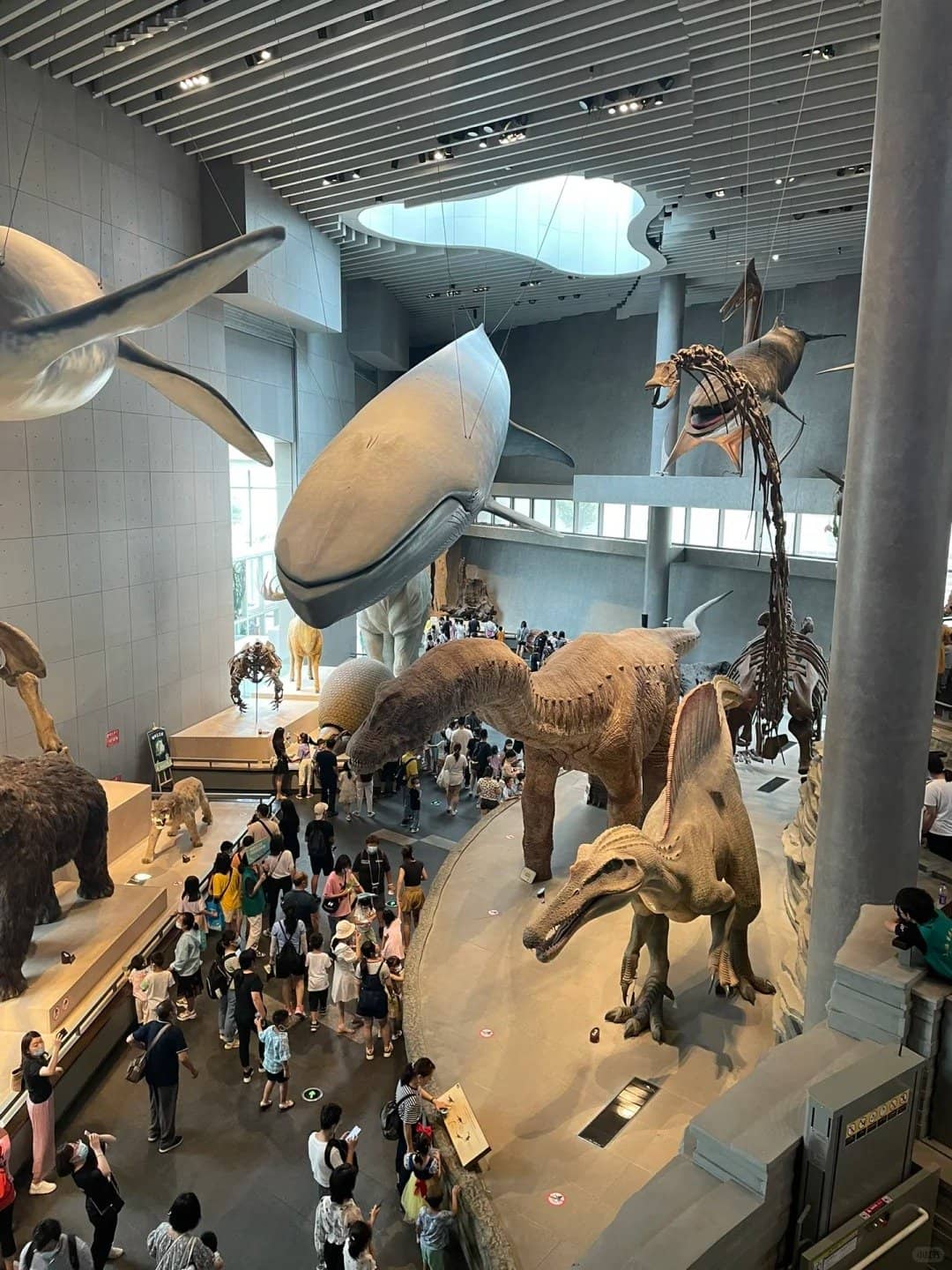 Historical Artifacts & Models