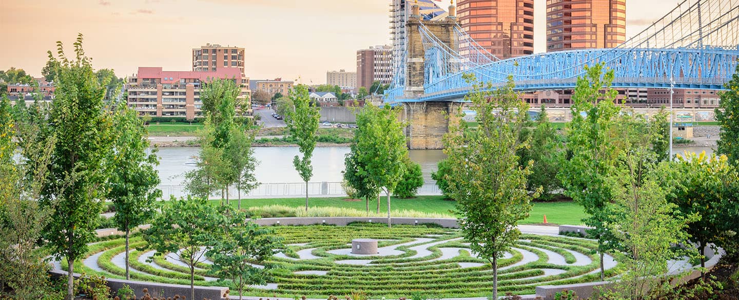 Highlights
