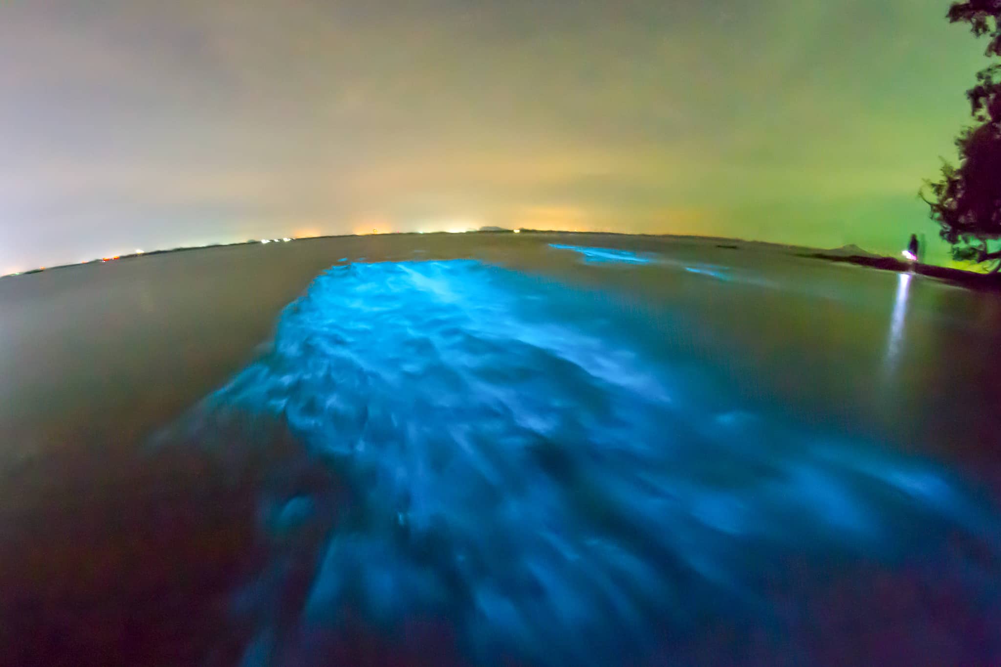 Bioluminescent Bay Tour