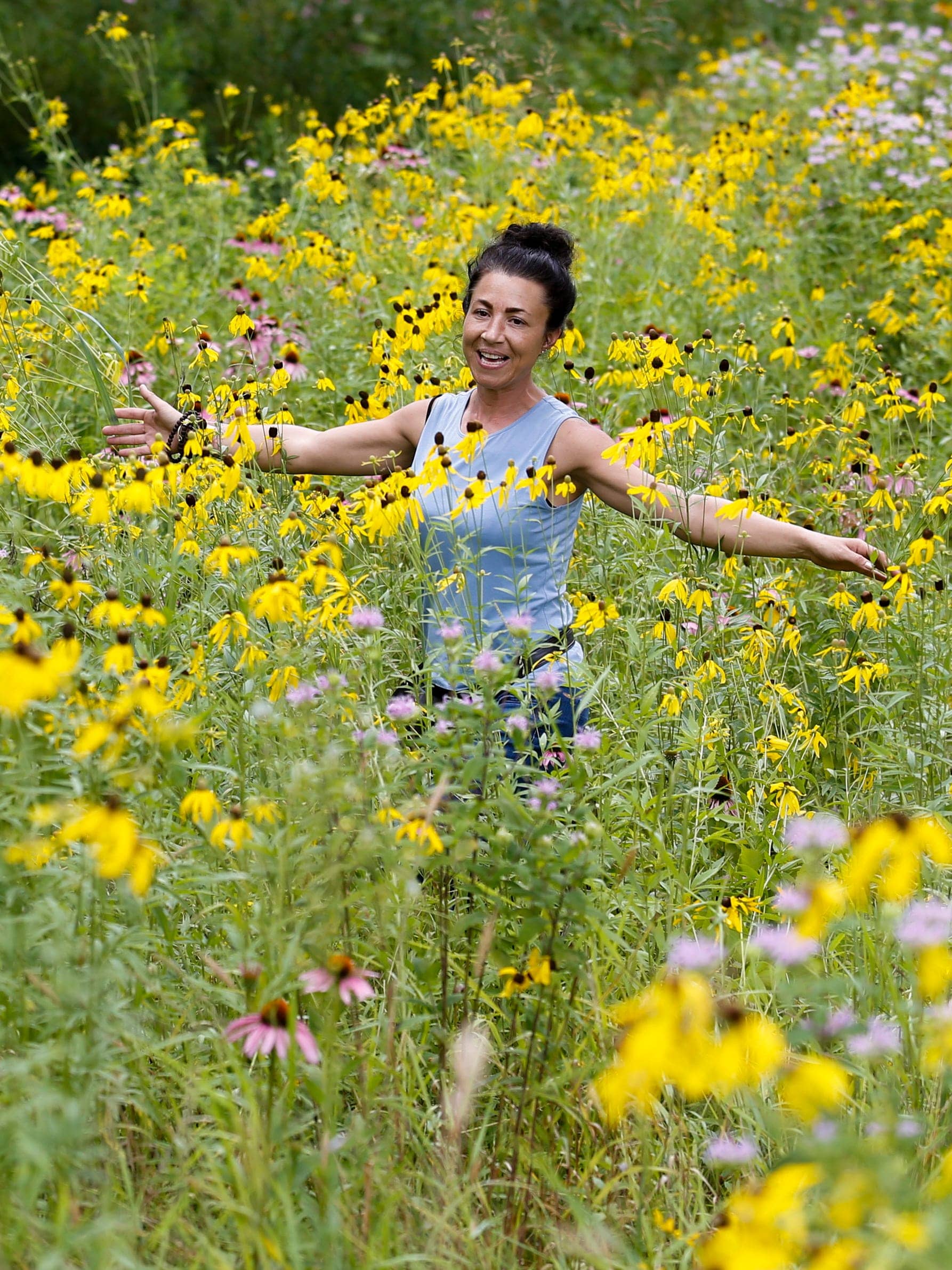 Wildflower Displays