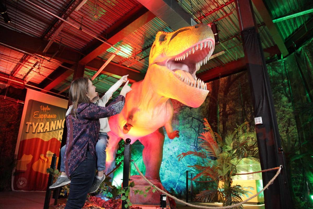Dinosaur Exhibit
