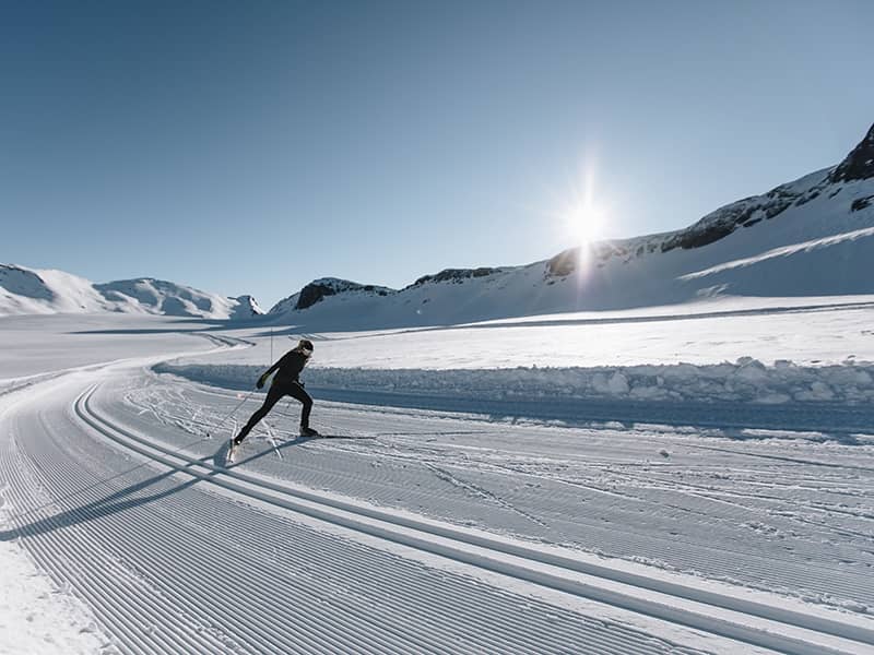 Cross-Country Ski Trails