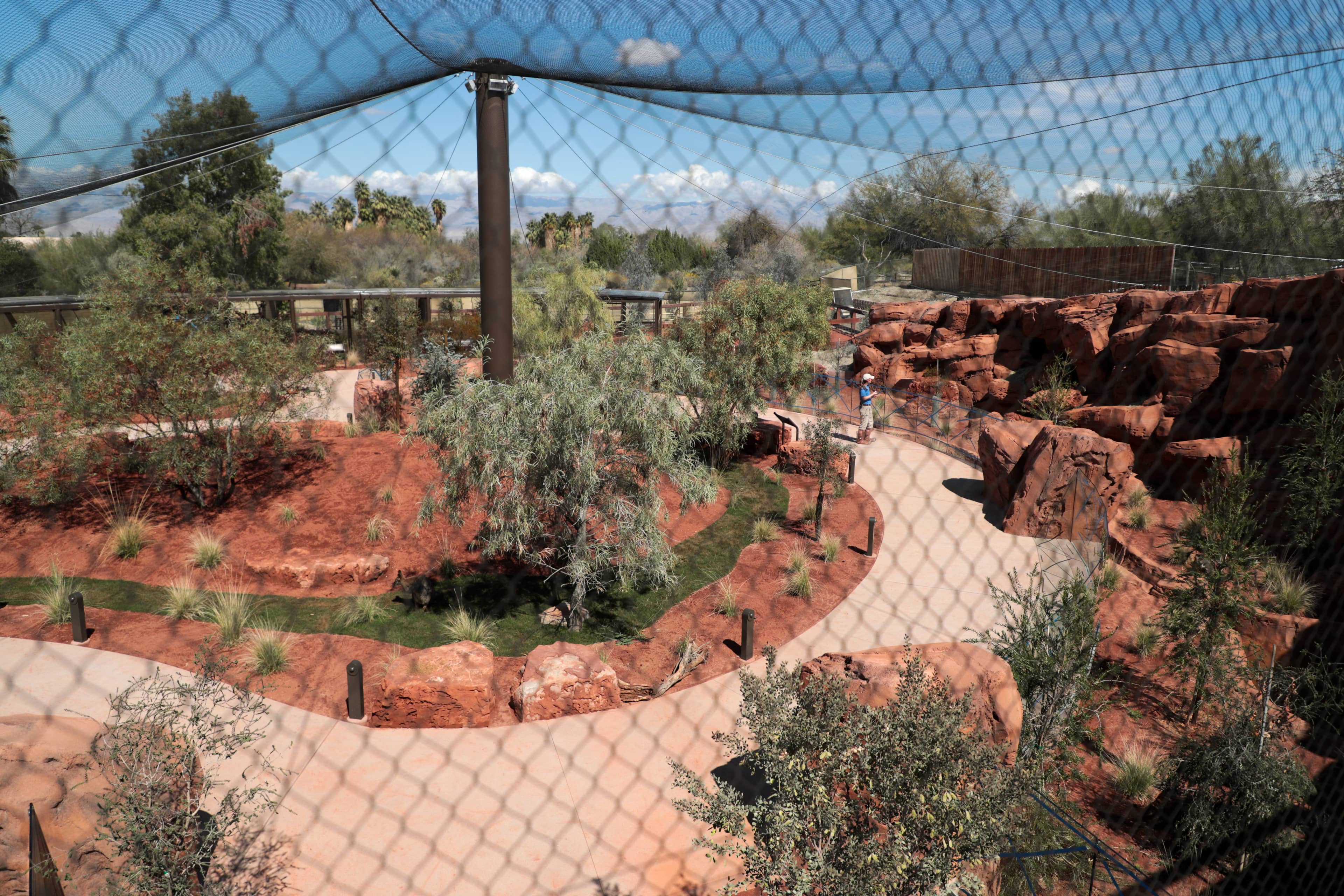 Wallaby & Australian Section