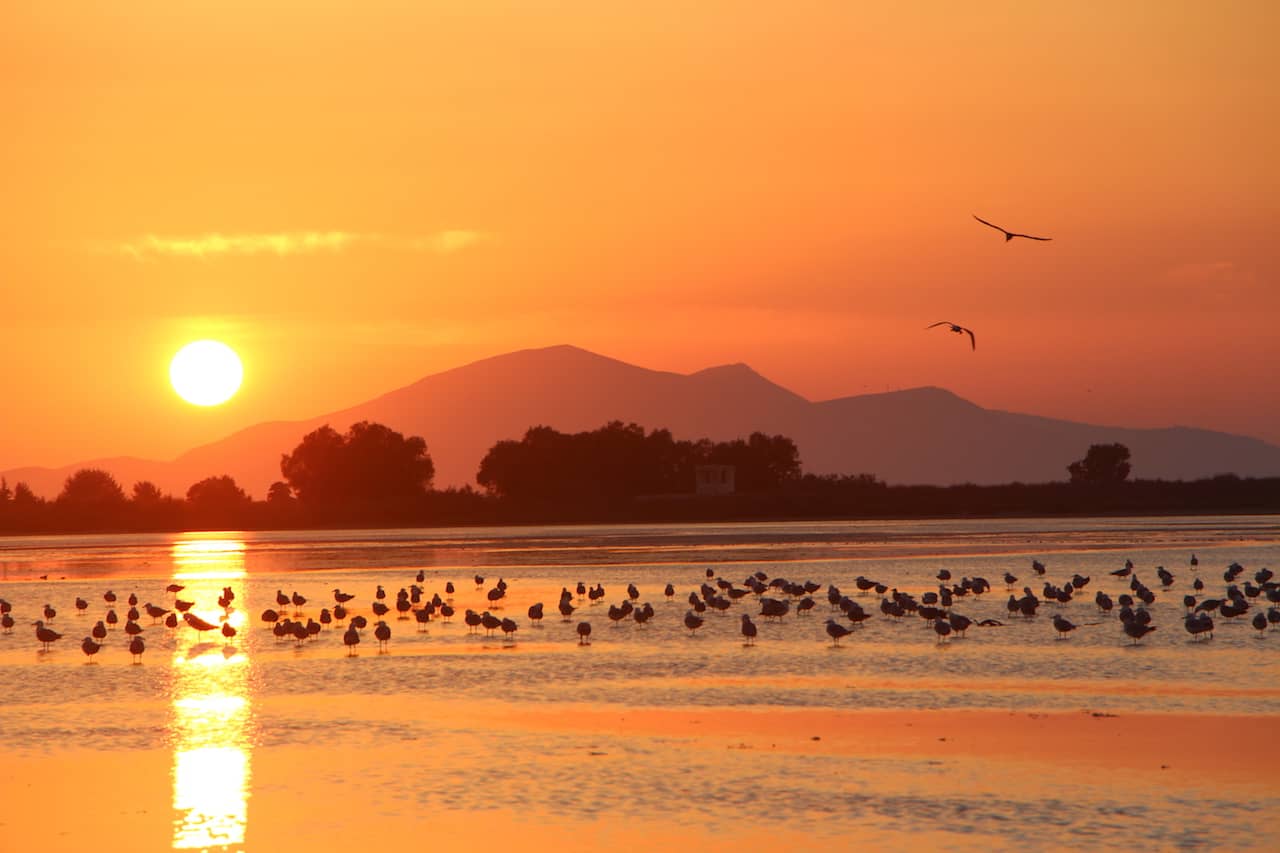 Spectacular Sunsets