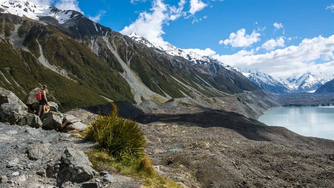 Tasman Glacier View Track