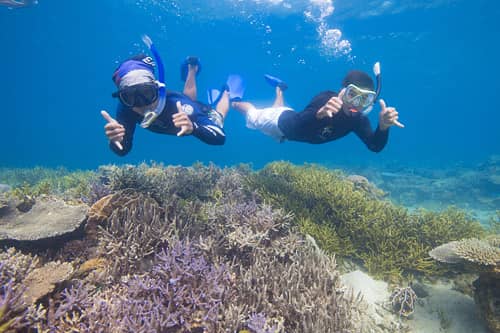 Vibrant Snorkeling Spots