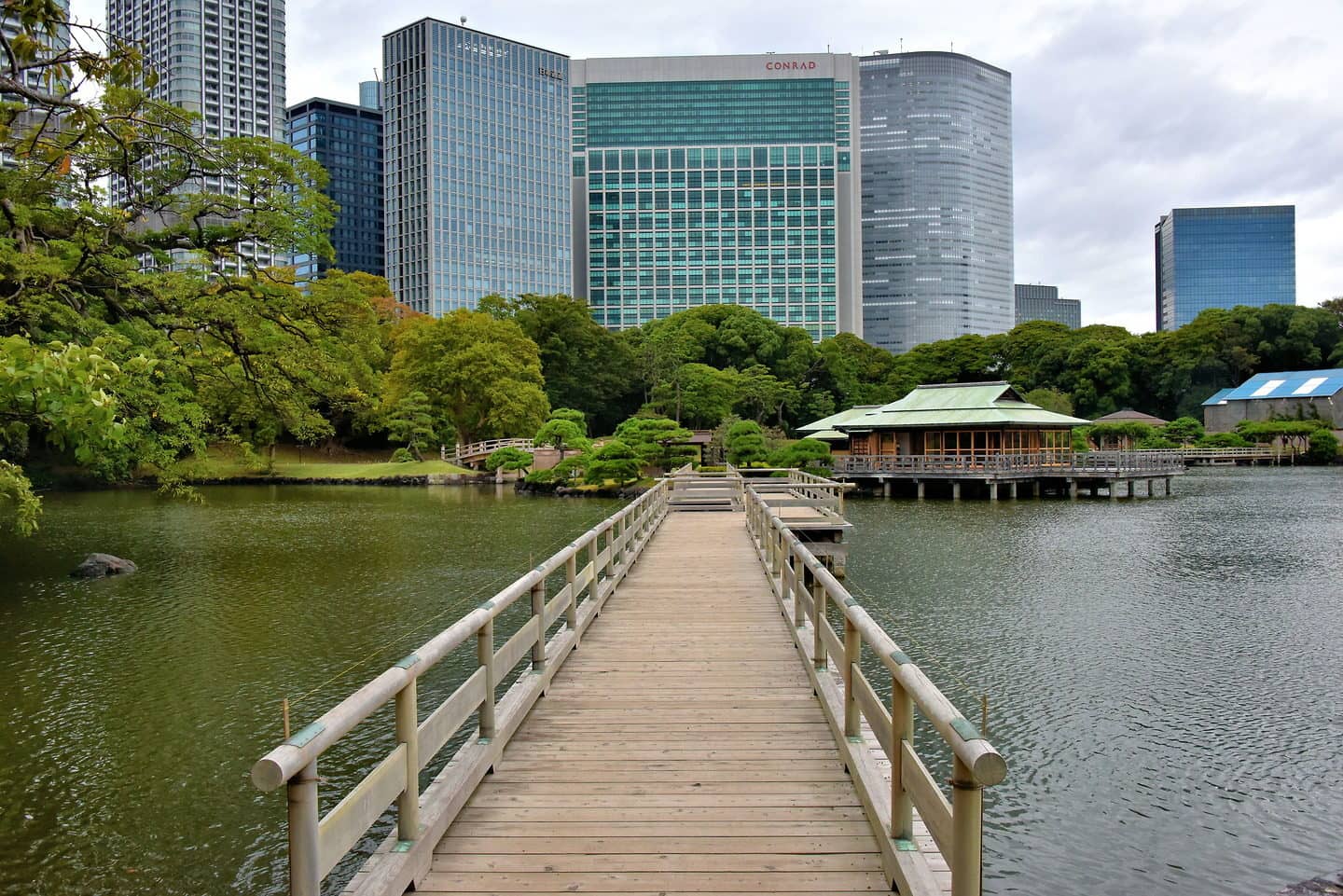 Tidal Ponds