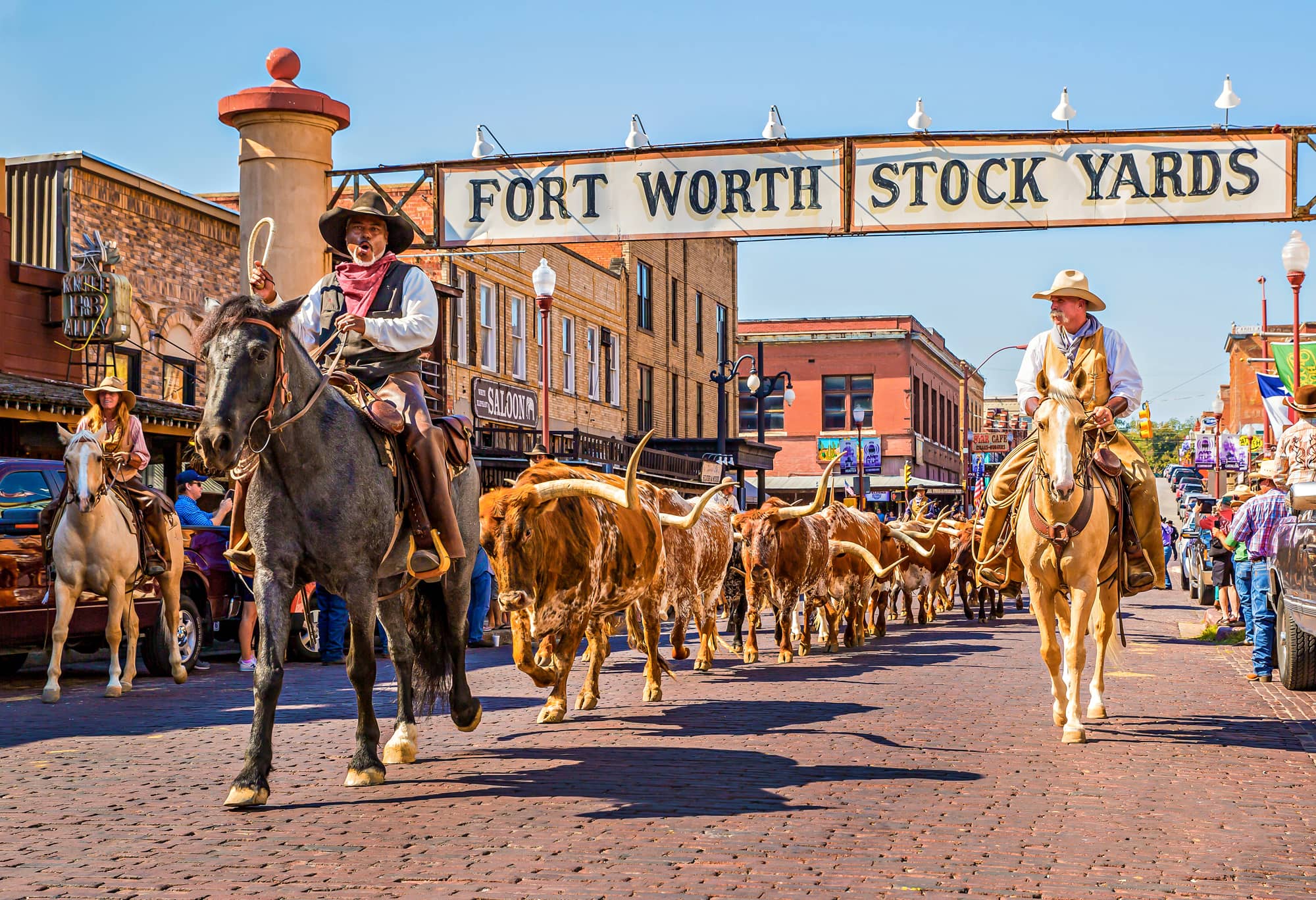 Fort Worth Cattle Drive
