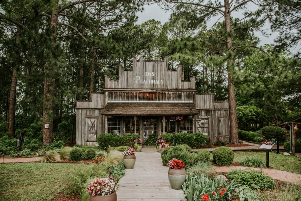 Wine Tasting Experience