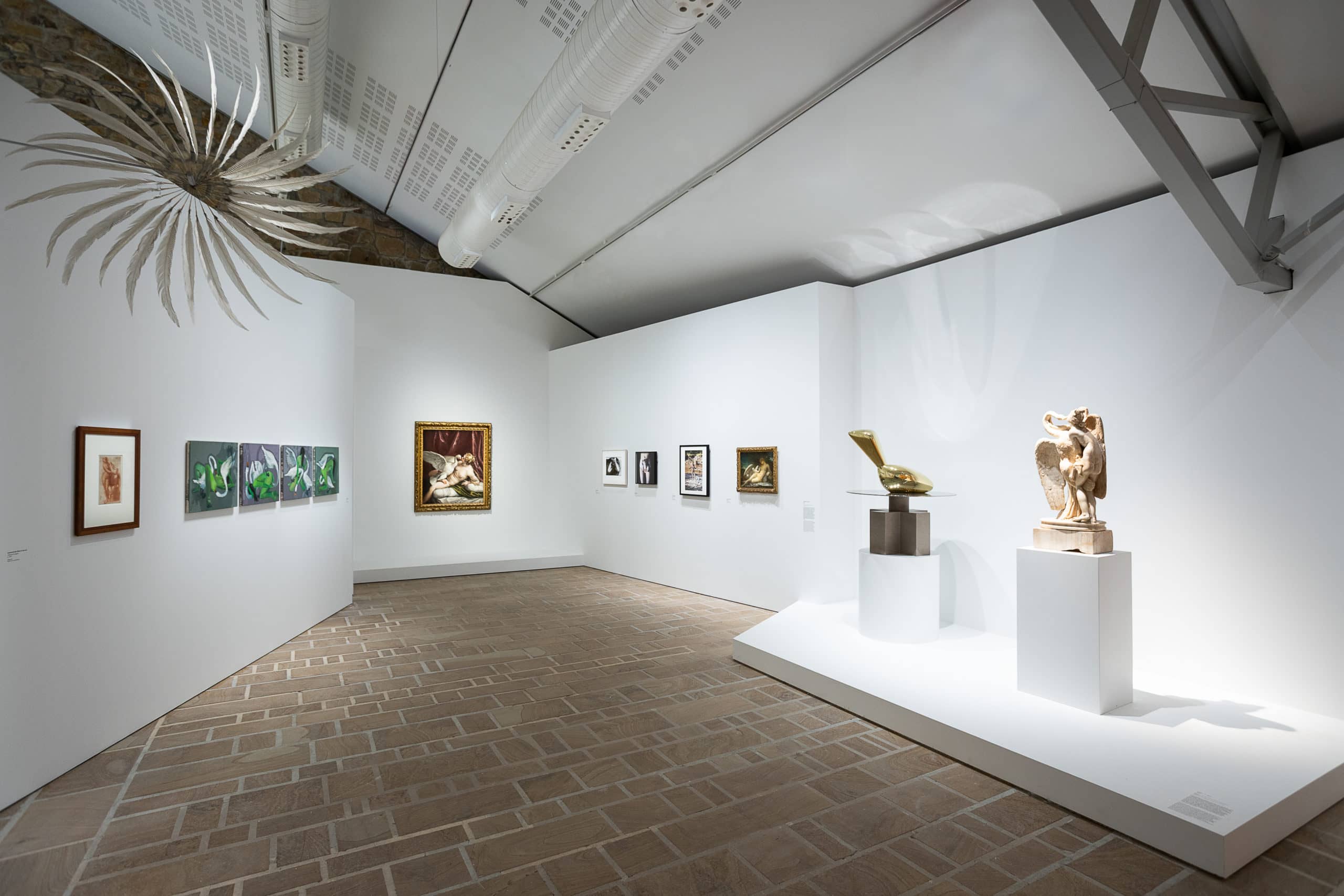 Artistic Interface of Humans & Animals