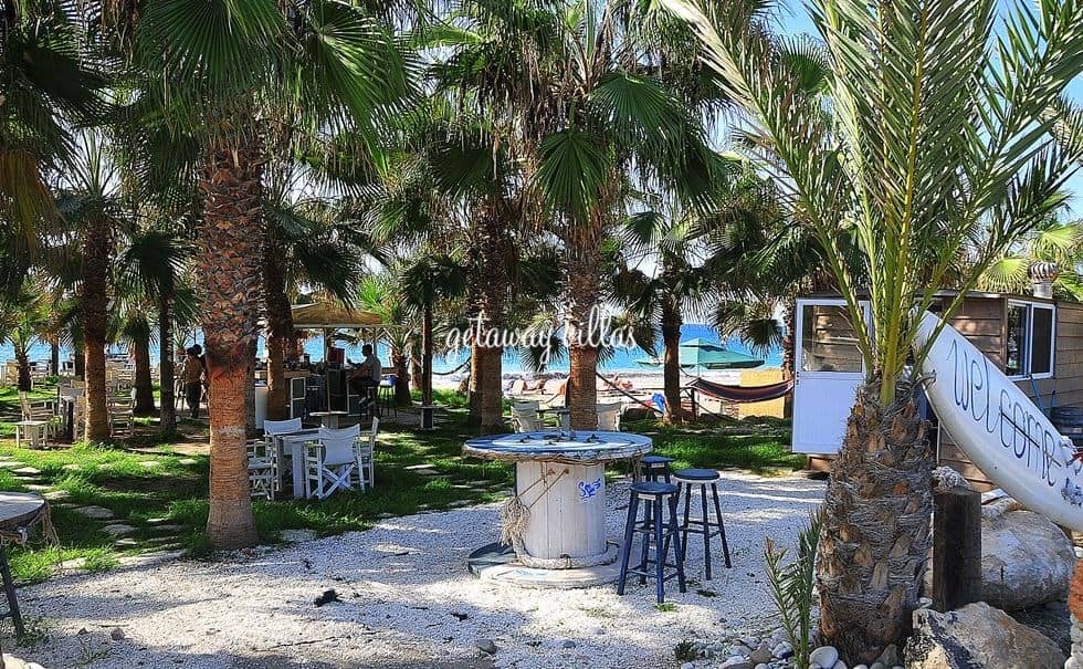 Tranquil Banana Tree Setting