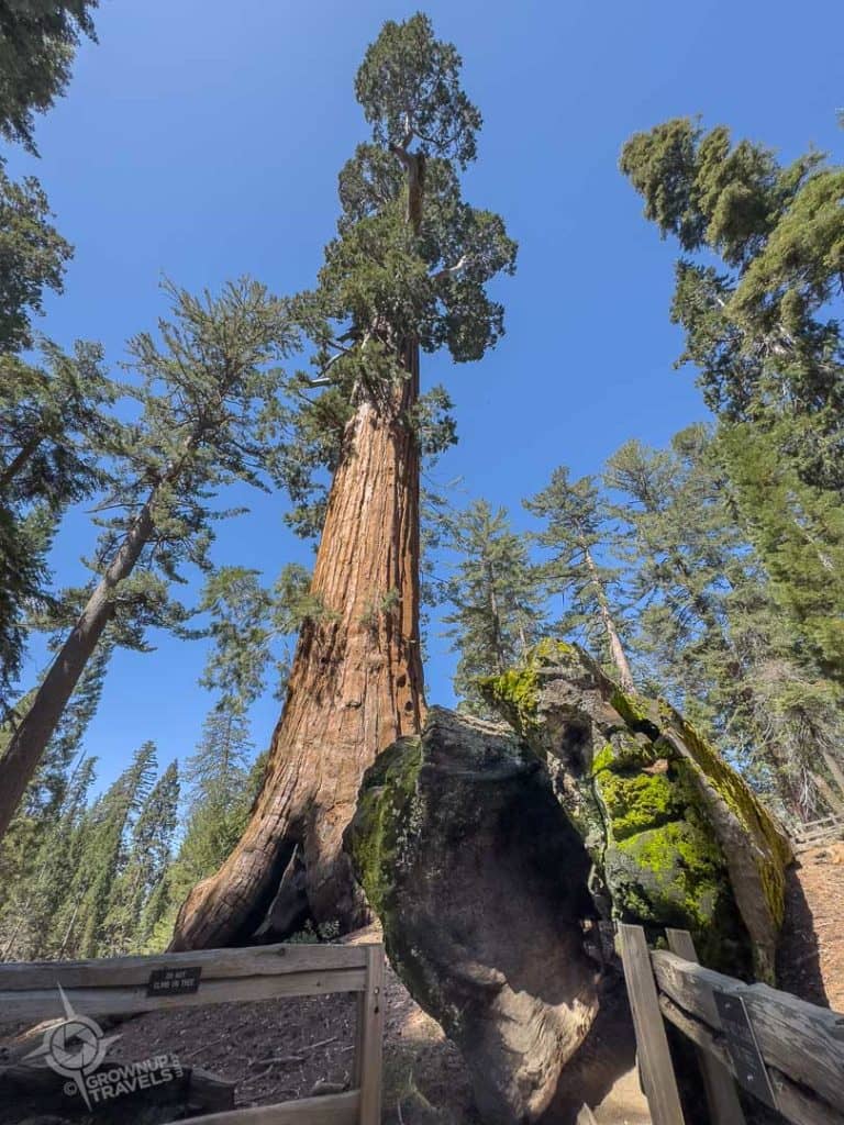 Highlights