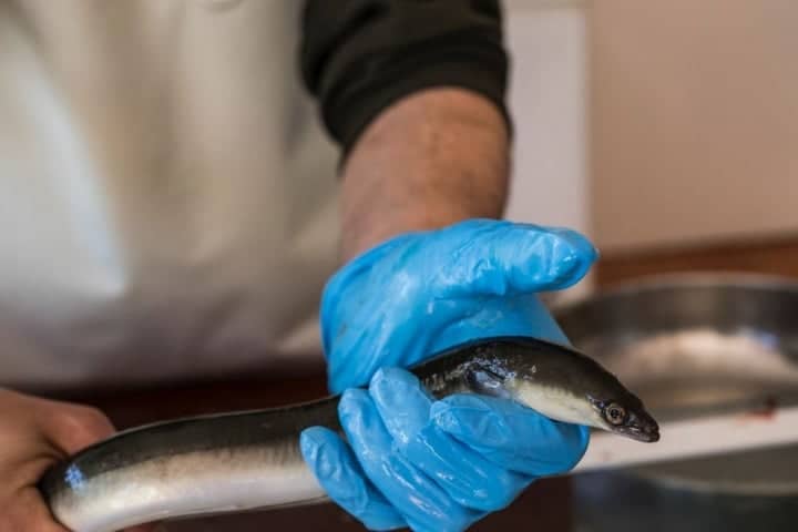 Local Eatery Delights