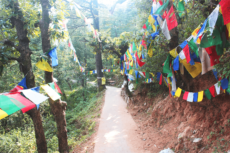 Prayer Wheels & Chanting