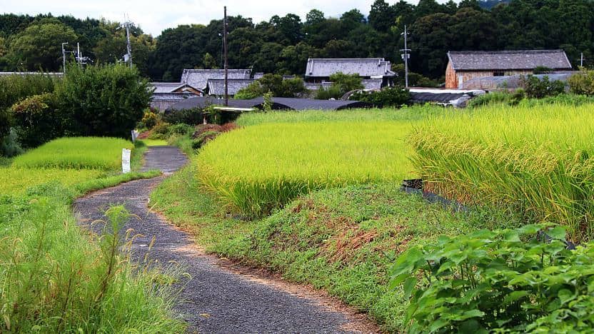 Satoyama Scenery