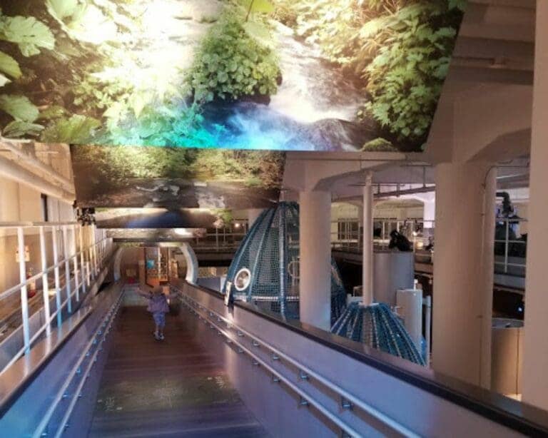 City View Dining Area